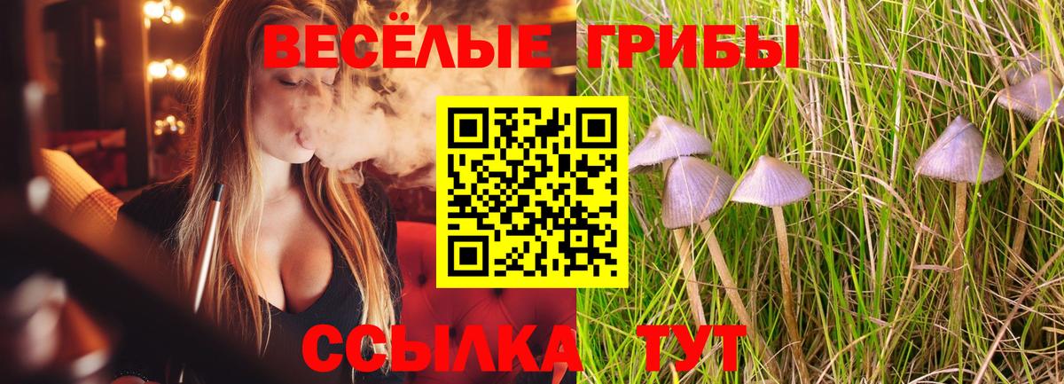Донской  купить наркотики цена  Вход с VPN  Псилоцибиновые грибы прущие грибы  Галлюциногенные грибы MAGIC MUSHROOMS 